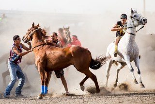 Pictured: a winning photo from Frost's portfolio. Pikunii Express team members try to gain control of one of their horses as a member of team whitecap takes off  during the Indian Relays at the North American Indian Days in Browning, Montana on July 11, 2015.  Photo by Evan Frost